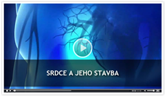 nahlad_srdce_a_jeho_stavba_podstranka_dk