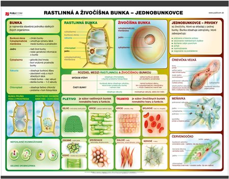 122-pri-rastlinna-a-zivocisna-bunka-140