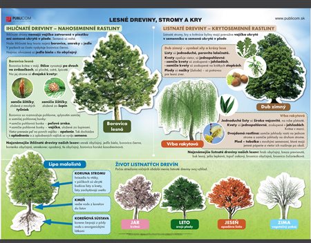 124-zm-pvc-sr---bio---lesne-dreviny,-stromy-a-kry-140