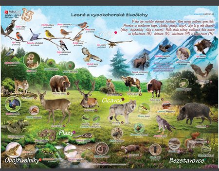 125-zm-pvc-sr---bio---lesne-zivocichy-140