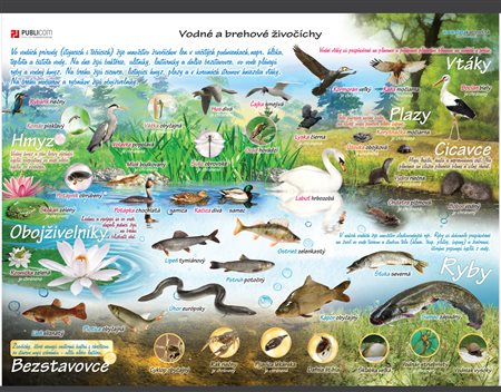 126-zm-pvc-sr---bio---vodne-a-brehove-zivocichy-140