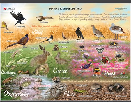 127-zm-pvc-sr---prv---polne-a-lucne-zivocichy-140