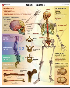 131-zm-pvc-sr---geo---geologicka-mapa-sr-140
