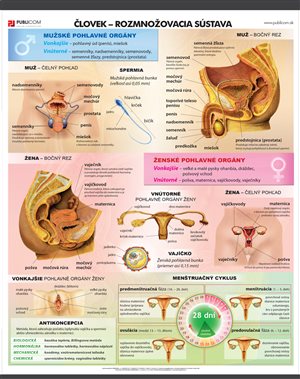 136-zm-pvc-sr---bio---rozmnozovacia-sustava-140