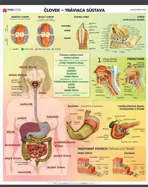 138-zm-pvc-sr---bio---clovek---traviaca-sustava-140