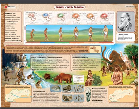 192-zm-pvc-sr---dj---pravek---vyvoj-cloveka-140
