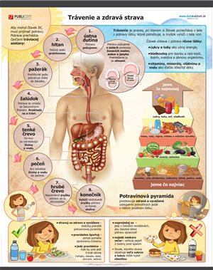 102-zm-pvc-sr---pri---travenie-a-zdrava-strava-140
