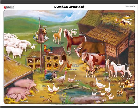 108-prv-domace-zvierata-140