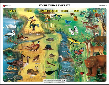 110-prv-volne-zijuce-zvierata-140