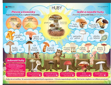 112-zm-pvc-sr---pri---huby-140