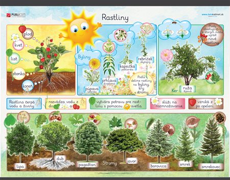 113-zm-pvc-sr---prv---rastliny-140