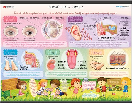 114-pri-ludske-telo-zmysly-140