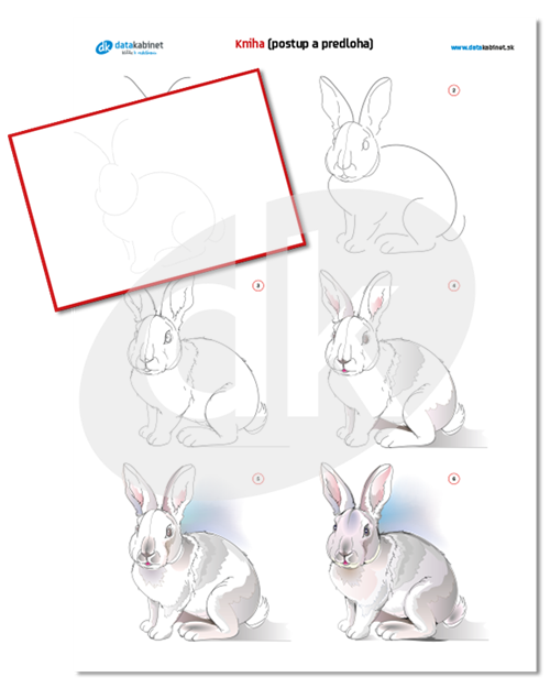 Zajac (postup a predloha)